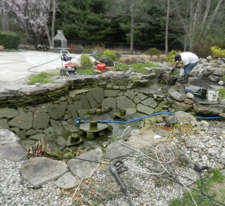 Professional Pond Cleaning & Maintenance Services